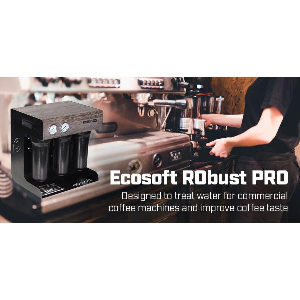 Stacja filtracji molekularnej wody BWT ROBUST PRO | 75 litrów / godzinę | hotel / restauracja