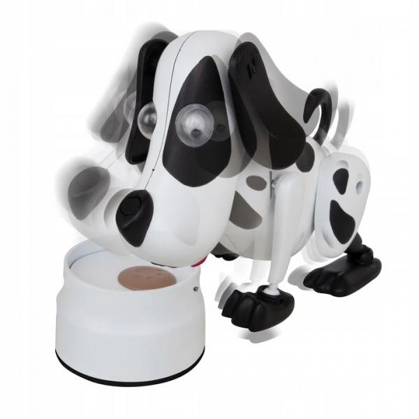 Interaktywny Piesek Kooky Kritters Bailey Cobi